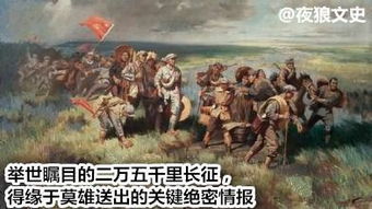 军中传奇，免费观看部队神医短剧，医者仁心演绎之旅