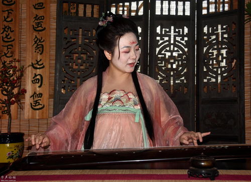 穿越时空的古装奴婢，免费视觉盛宴