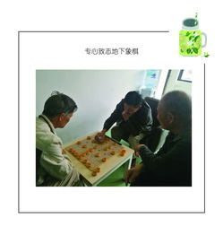 返老还童之旅，免费高清短剧尽享