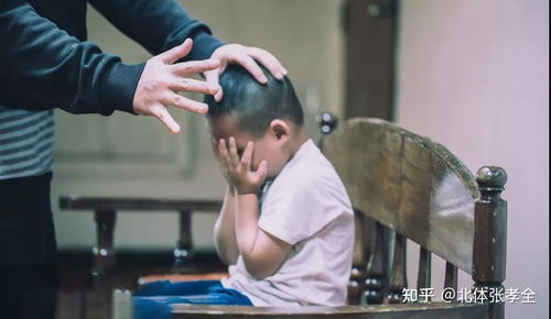笑出腹肌的搞笑短剧，后宫大赏，免费畅看！