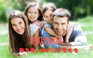 免费观看，大宝师父的精彩世界