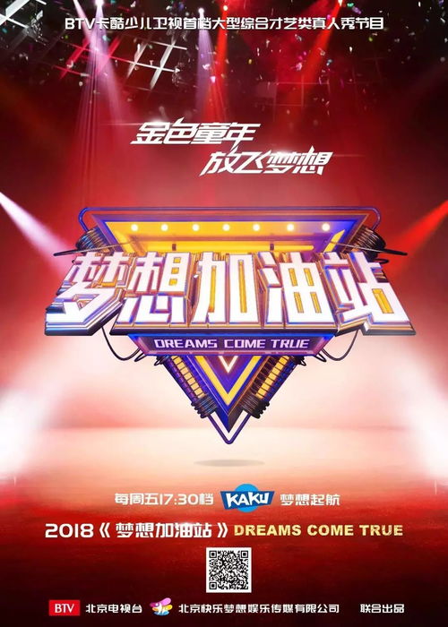 绝世富豪，财富与梦想的视觉盛宴