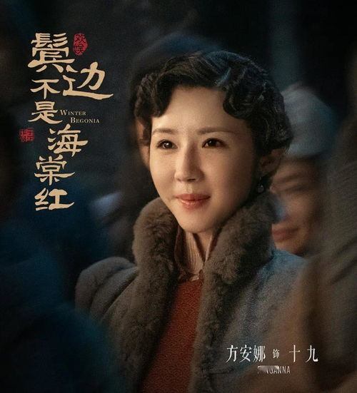 新版师姐短剧免费盛宴，视觉与情感的双重享受