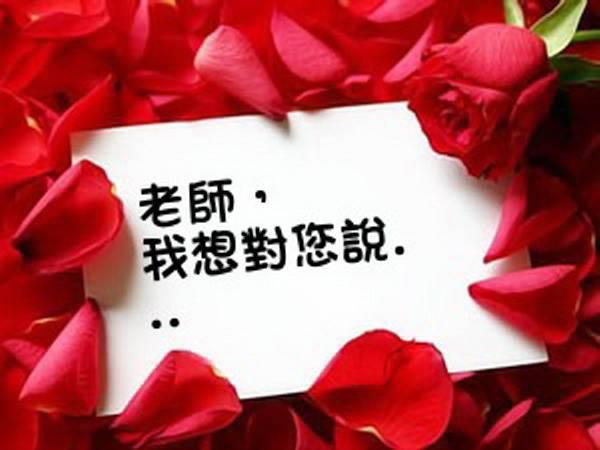 钟爱玫瑰之旅，免费短剧的魅力探索