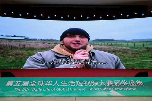 老总情感短剧，免费观看的精彩世界之旅