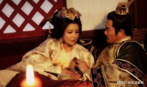 绝代驸马，免费短剧的魅力之作