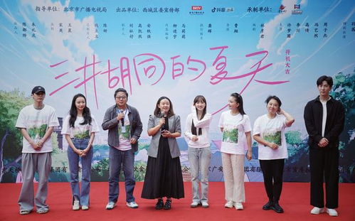 女婿驾到，笑点与温情的短剧之旅