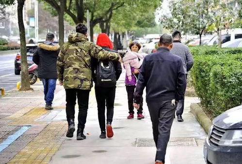 保安大叔的短剧，免费观看的乐趣与魅力之旅