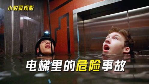 免费观看新娘被害短剧，一场惊心动魄的悬疑之旅 