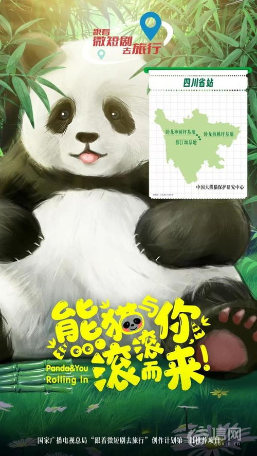 免费观看的小熊短剧推荐