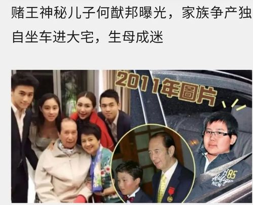 短剧女婿富豪，免费观看的精彩故事 