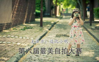 木槿热播，免费观看的精彩世界