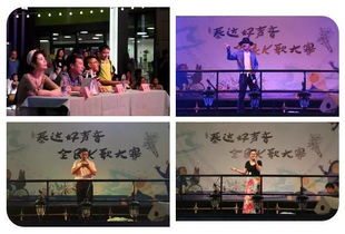落子无悔，免费观看短剧的精彩世界 