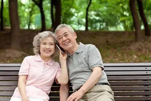 孤独老人与短剧相伴，温暖的选择与免费观看的乐趣