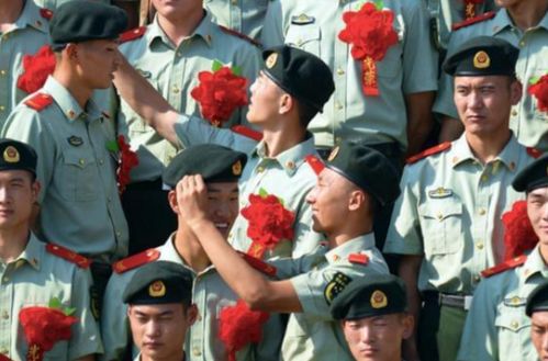 免费观看，军旅风采短剧集，探索当兵生活