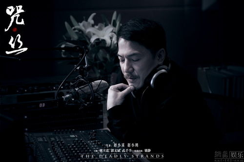 空宅悬疑短剧，免费探索惊悚魅力