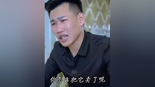 尊重与爱，一部免费观看的短剧