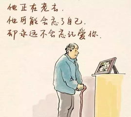 口是心非，日本短剧免费观看的魅力与启示