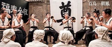 道士传人，传承之谜 - 免费短剧观看指南