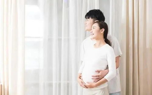 女方怀孕，爱意更浓——甜蜜温馨短剧免费观看