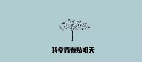 失恋后的心理疗愈与自我成长短剧免费观看