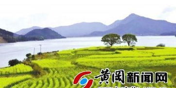 山村小子，免费观看的乡村魅力