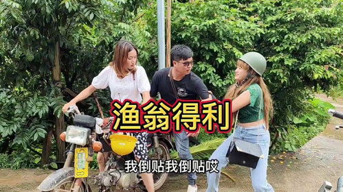 免费观看，农民短剧全集，生动呈现乡村生活