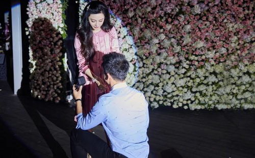 浪漫瞬间，短剧跪地求婚的甜蜜故事免费观看