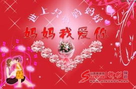 免费观看，伴娘祝福短剧，温馨视觉盛宴