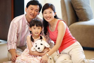 免费观看的现代家庭喜剧，泼辣媳妇短剧
