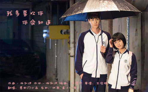 重温美好岁月，青春时光免费短剧