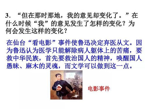 中年困惑，一部免费短剧的深度解读