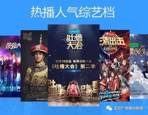 免费观看，短剧盛宴，精彩世界任你选