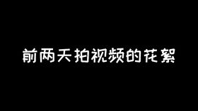 心口偏爱，免费短剧的魅力与观影体验