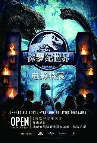 免费观看传奇短剧全集，探索影视新潮流的必选之选