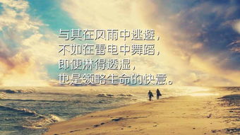 爱情过客，免费短剧之旅的浪漫探索