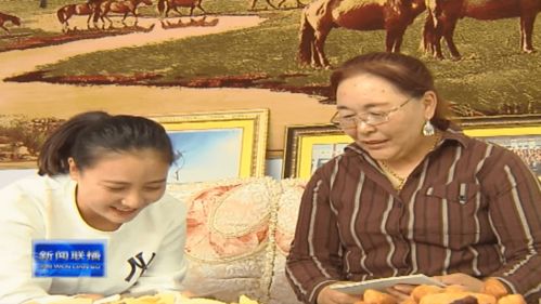 婆婆当家，家庭情感与现代生活的交织短剧免费观看