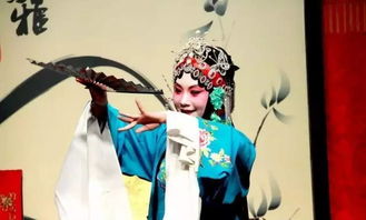 驸马无双，免费短剧的魅力之旅