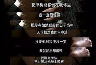 虐渣剧情大放送，免费短剧让你一次看个痛快！