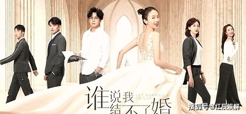 免费演绎，婚姻短剧，精彩无限