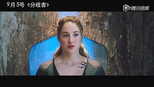 免费观看短剧，神仙老婆的观看指南