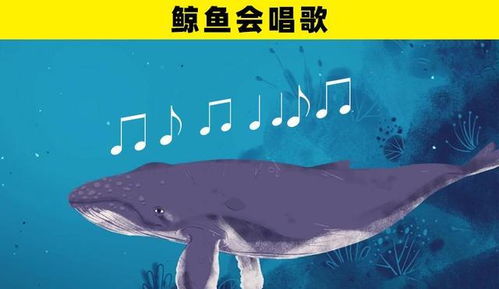 海洋之谜，免费欣赏鲸鱼主题阅读短剧