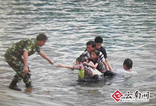 英勇之跃，跳水救人——感人短剧免费观看