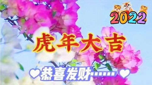 友情与祝福，共享免费短剧的快乐时光