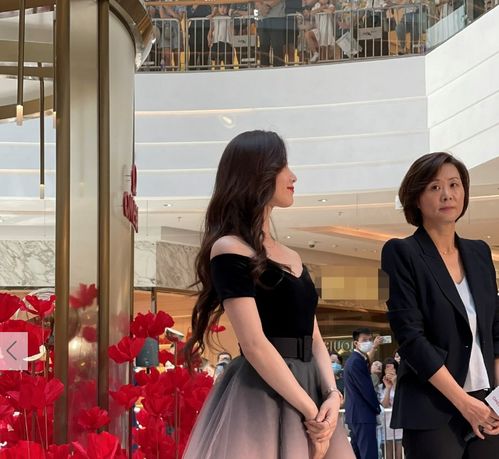 淑女日记，免费观看的短剧魅力