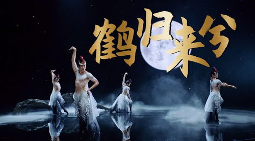 江湖乞丐，视觉与情感的免费盛宴