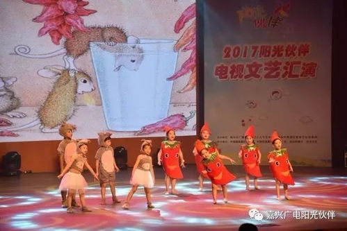 阳光盛宴，免费短剧尽享生活精彩