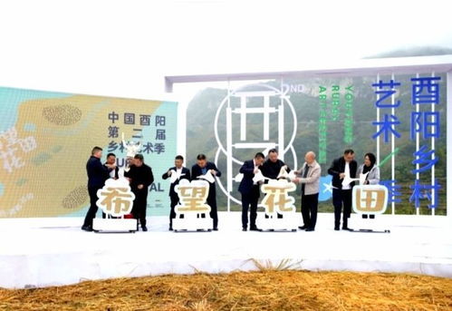 短剧魅力，偏心选择下的免费观赏新体验