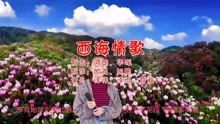 西海情歌，免费观看的精彩之处