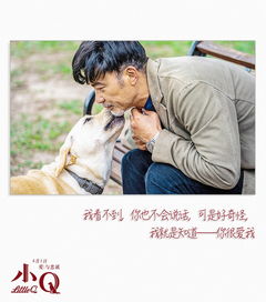 小麦情感短剧，温暖与感动的生活之旅